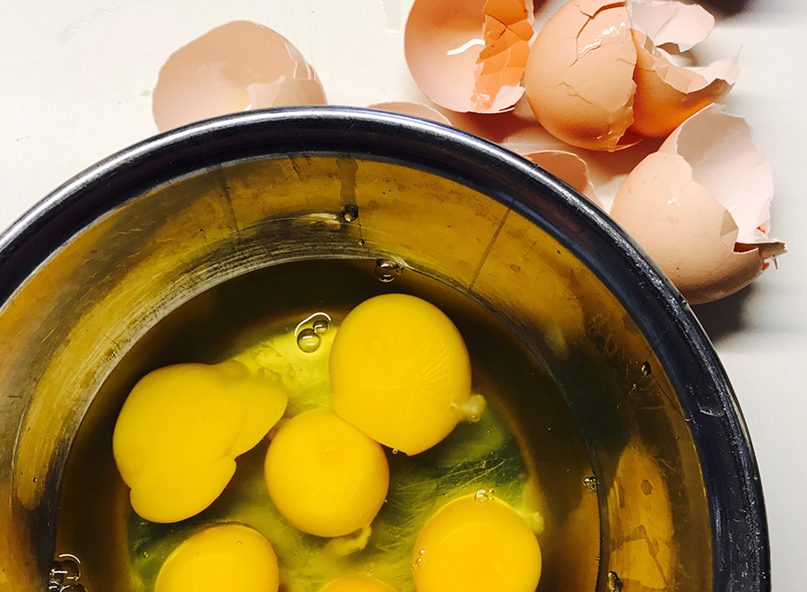Precauções com os ovos: dicas e cuidados para o manuseamento seguro dos ovos